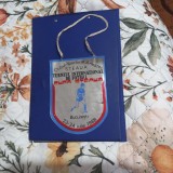 Fanion Cupa Steaua 1988