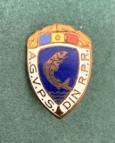 Insigna AGVPS RPR