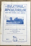 X.1 [Revistă Veche] Buletinul Apicultorilor - Anul IV, Nr. 3, 1925