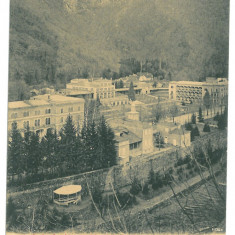 4625 - HERCULANE, Caras-Severin, Panorama, Romania - old postcard - used - 1905