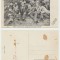 Ardeal - Blaj ilustrata necirculata 1913-1914 Elevii cursului III pedagogic