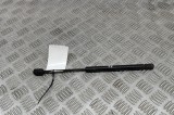 Amortizor capota st&acirc;nga față FORD USA EXPLORER 2001 OEM: 1L24-16C826-AB 30273455