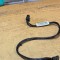 Cablu Sata lenovo 54Y9340 #A8448