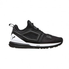 Pantofi Copii Puma Ignite Limitless JR 19145701 foto