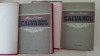 Myh 545f - Alexei Tolstoi - Calvarul - 2 volume - ed 1954
