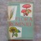 FLORA ROMANIEI - I. Simionescu,