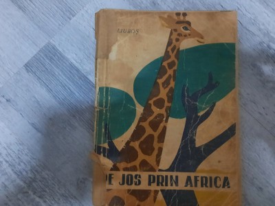 Pe jos prin Africa de A.Liubos foto