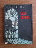 Calea Victoriei - Cezar Petrescu, Editura Facla, 1989, 364 pagini, Roman
