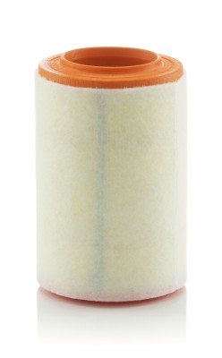 MANN-FILTER C 15 007 Filtru aer foto