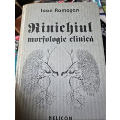 Ioan Romosan - Rinichiul, Morfologie Clinica