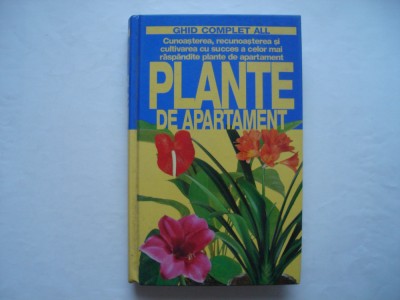 Plante de apartament - Maria Teresa Della Beffa foto