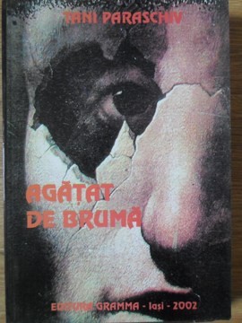 AGATAT DE BRUMA. POEZII-TANI PARASCHIV-234922 foto
