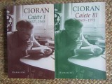 CIORAN - CAIETE VOL. I SI VOL. III