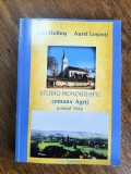 Studiu monografic, Comuna Agrij, Judetul Salaj - Ioan Holhos / R4P3F, Alta editura