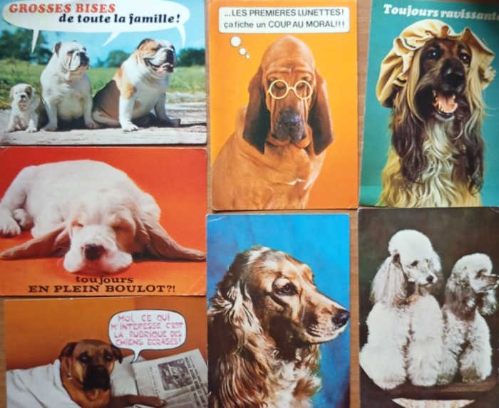 16 Carti postale Caini Circulate/ Necirculate