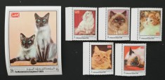 YEMEN K. - PISICI-serie 5 valori+ 1 S/Sh..MNH**.- YK 009B