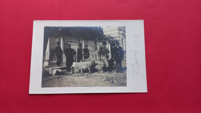 Bucuresti Port popular Cioban Schafhirte Etnic 1916