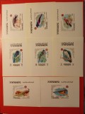 YEMEN, PĂSĂRI - COLIȚE MNH