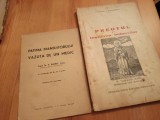 Cumpara ieftin PR. EUGENIU ALEXANDRESCU, PREOTUL SI &Icirc;NGRIJIREA BOLNAVILOR. CERNICA 1941(+BONUS)