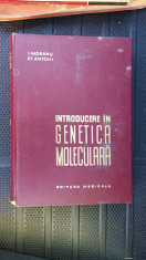 Introducere in genetica moleculara - I Moraru foto