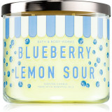 Bath &amp; Body Works Blueberry Lemon Sour lum&acirc;nare parfumată 411 g
