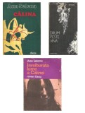 Cumpara ieftin Pachet 3 Carti Ana Selena: Calina, Drum peste vina, Involburata lume a Calinei - Editie de colectie, Literatura Romana