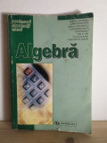 Algebra - Mircea Becheanu, Constantin Nita, Mirela Stefanescu, Alexandru Dinca, Ioan Purdea, Ion D. Ion, Nicolae Radu, Constantin Vraciu