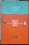 Nunta la malul marii - Abdelkader Benali