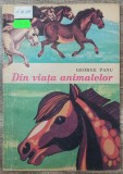 Din viata animalelor - George Panu// ilustratii Nicolae Saftoiu