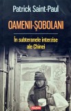Cumpara ieftin Oamenii-sobolani. In subteranele interzise ale Chinei - 2016 - Patrick Saint-Paul (W367)