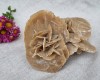 Cristal Natural Trandafirul Desertului - Mineral de Colectie, Roca Decorativa