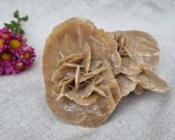 Cristal Natural Trandafirul Desertului - Mineral de Colectie, Roca Decorativa