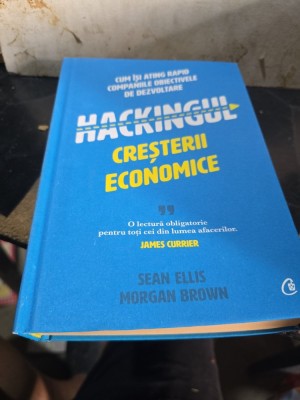 Hackingul creșterii economice - Sean Ellis, Morgan Brown foto
