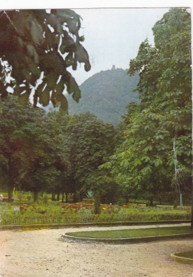 AMS - ILUSTRATA 1096, TARGU OCNA, PARC foto