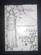 MIRCEA IFRIM - ATLAS DE ANATOMIE UMANA. SISTEMUL NERVOS SI ORGANELE DE SIMT foto
