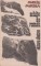 Foto  - 1