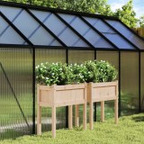 vidaXL Jardiniere de grădină cu picioare, 2 buc., lemn masiv de pin 837555