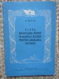 Flota din oceanul Pacific in marele razboi pentru apararea patriei A. Mitin