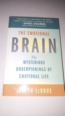 Joseph Ledoux - The emotional brain foto