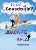 Ce este constituția? - Paperback brosat - Alina Dumitrașcu - Curtea Veche