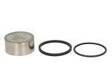 Cumpara ieftin Pistoane pentru etrier fata (cu etansanti) pentru YAMAHA FZ, VMX-12 700/750/1200 1985-1992