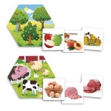 Joc pentru dezvoltarea cunostintelor despre natura: De unde provin alimentele?, Akros Educational