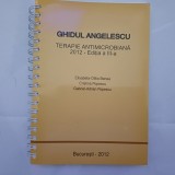 GHIDUL ANGELESCU-TERAPIE ANTIMICROBIANA-2012 S4.