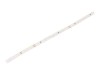 Bandă LED alb rece 24V 4W/m