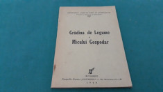 GRADINA DE LEGUME A MICULUI GOSPODAR/1940 foto