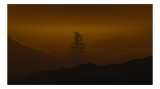 Tablou Canvas Silueta Copac &icirc;n Lumina Amurgului Peisaj Noapte Mister, 39 x 26 cm, CMCLASS