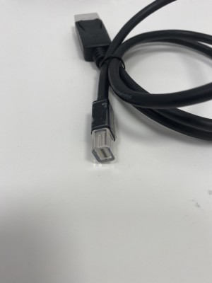 Cablu video DisplayPort - mini DisplayPort / 1m (257) foto