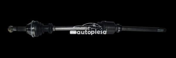 Planetara FIAT DUCATO platou / sasiu (230) (1994 - 2002) RINGER 1131006022