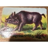 (2) Act Surprize reclama la Cafea Brasov