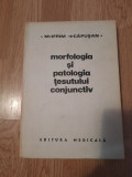 Morfologia si patologia tesutului conjunctiv - M. Ifrim
